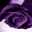lisaj223 lisaj223