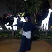 Elly Mulyani
