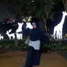 Elly Mulyani
