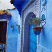 فرح 