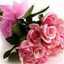 noor islamiah