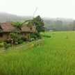 ครัวชาวบ้าน