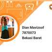 Dian Mavizsof