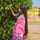 Patel Janvi Patel Janvi