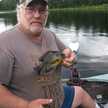 bowhunterrt60