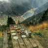 shofy_white