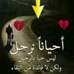 مهند الركابي