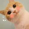 Mariam