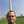 Bob