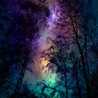 starishsoul