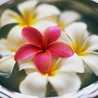 serenas_kitchen