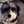 jackandy