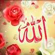امونة😉😉😉