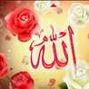 امونة😉😉😉