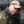 Glenn Anderson Glenn Anderson