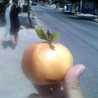 Hondimaaru