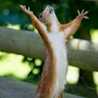 juanpedroycarmen@hotmail.com 