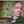 apostolova_food_1 