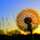 sunshine_17 sunshine_17
