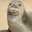 meowwwwww meowwwwww