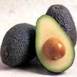 avocadoo