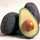 avocadoo avocadoo