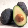 avocadoo avocadoo