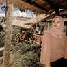 Widia Alfajar Widia Alfajar