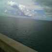 michelle.drolick