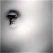 Jared Staley