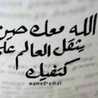 زهور الساكورا