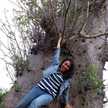lintang.ayu