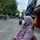 Retno Palupii Retno Palupii