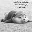 Narges Seyfi