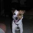 betsy.fithian