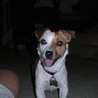 betsy.fithian