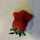 edith.yuen