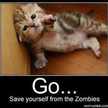 omgzizitdoneyet