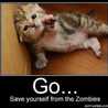 omgzizitdoneyet