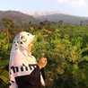 Umi Nur Hasanah Umi Nur Hasanah