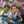 fitria insan