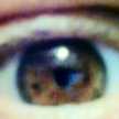Felecia.Mulkey