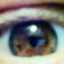 Felecia.Mulkey