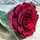 sajodeh_alomry sajodeh_alomry