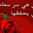 امي تاج حياتي 