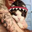 LuK Bry