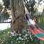 Anagaby