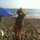 Carmen Carmen