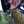 jerryoneknoby