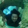 Lindy Lindy